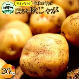 【四国一小さなまちのじゃがいも】★令和6年11月中旬発送開始★ 大野台地で採れた『 令和6年産 秋じゃが 』 20kg　～ 訳あり ～