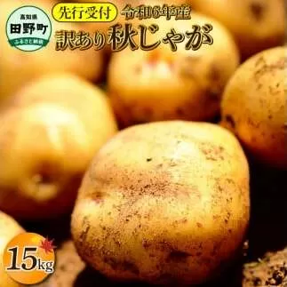 【四国一小さなまちのじゃがいも】★令和6年11月中旬発送開始★ 大野台地で採れた『 令和6年産 秋じゃが 』 15kg　～ 訳あり ～