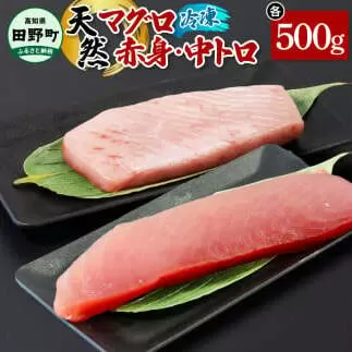 ～四国一小さなまち～ 天然マグロ（赤身・中トロ 各500g）まぐろ 鮪 中とろ 刺身 刺し身 さしみ 魚 魚介 海鮮 海鮮丼 寿司 海の幸 おかず おつまみ 惣菜 おいしい 美味しい
