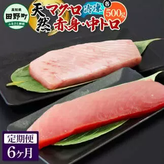 ～四国一小さなまち～ 天然マグロ（赤身・中トロ 各500g）6ヶ月定期便 まぐろ 鮪 中とろ 刺身 刺し身 さしみ 魚 魚介 海鮮 海鮮丼 寿司 海の幸 おかず おつまみ 惣菜 おいしい