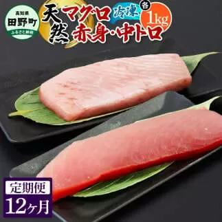 ～四国一小さなまち～ 天然マグロ（赤身・中トロ 各1kg）12ヶ月定期便 まぐろ 鮪 中とろ 刺身 刺し身 さしみ 魚 魚介 海鮮 海鮮丼 寿司 海の幸 おかず おつまみ 惣菜 おいしい