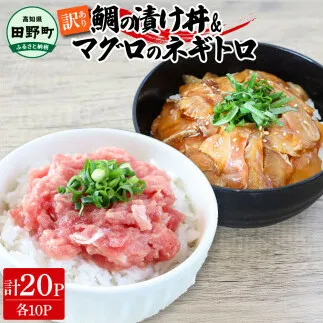 ～四国一小さなまち～ 訳あり 鯛の漬け丼＆マグロのネギトロ 各10P 計20P タイ たい まぐろ 鮪 海鮮丼 ねぎとろ まぐろたたき 粗挽き ねぎとろ丼 ネギトロ丼 魚介 惣菜 おかず 訳アリ