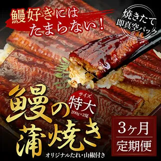 t120kgp　《3ヵ月定期便》人気惣菜 本気の高知ブランド鰻「西岡うなぎ」～特上（特大サイズ）～うなぎの蒲焼き2尾セット（約400g）タレ・山椒付き｜ウナギ 国産 特産品 鰻の蒲焼き 高知県産 土佐 グルメ 蒲焼 焼きたて 丼 うな重 ひつまぶし〈田野町共通返礼品〉