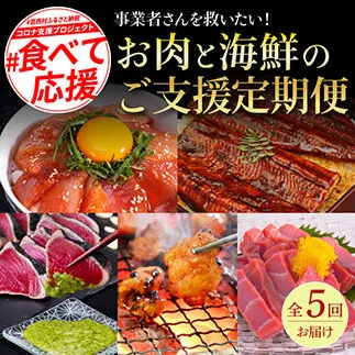 t130kyf-kgp-tka　コロナ支援事業者さんを救いたい5か月定期便／1回目:マグロの漬け丼、2回目:極カツオのたたき×2節・銀象ソルト+土佐にんにくぬた、3回目:赤＆白ホルモンセット、4回目:塩昆布14日間熟成マグロ赤身＆中トロセット、5回目:「西岡うなぎ」蒲焼き2尾セット～並～