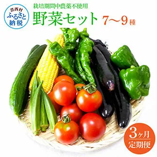 t139slv　野菜セット（7‐9種類） 《3カ月定期便》 栽培期間中農薬不使用！ 季節の野菜 定期コース 定期 無農薬 野菜 やさい 新鮮 自然 健康 セット 詰め合わせ 冷蔵 美味しい おいしい 食べ物 食材 秋 旬の味覚 ご当地 お取り寄せ 芸西村 18000円 故郷納税 返礼品