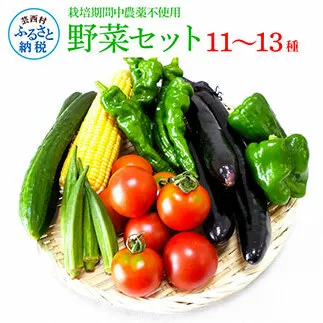 SLV002　野菜セット（11‐13種類）栽培期間中農薬不使用！ 季節の野菜 旬 無農薬 野菜 やさい 新鮮 自然 健康 セット 詰め合わせ 冷蔵 美味しい おいしい 食べ物 食材 秋 旬の味覚 ご当地 お取り寄せ 芸西村 12000円 故郷納税 ふるさとのうぜい 返礼品 高知県産 高知