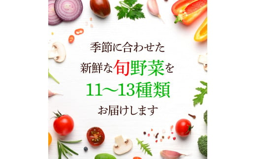 野菜セット（11‐13種類）栽培期間中農薬不使用！ 季節の野菜 旬 無農薬 野菜 やさい 新鮮 自然 健康 セット 詰め合わせ 冷蔵 美味しい  おいしい 食べ物 食材 秋 旬の味覚 ご当地 お取り寄せ 芸西村 12000円 故郷納税 ふるさとのうぜい 返礼品 高知県産 高知｜芸西村｜高知 ...