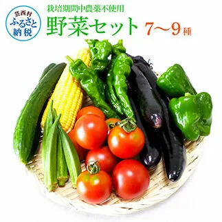 SLV001　野菜セット（7‐9種類）栽培期間中農薬不使用！ 季節の野菜 旬 無農薬 野菜 やさい 新鮮 自然 健康 セット 詰め合わせ 冷蔵 美味しい おいしい 食べ物 食材 秋 旬の味覚 ご当地 お取り寄せ 芸西村 6000円 故郷納税 ふるさとのうぜい 返礼品 高知県産 高知