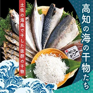 ZZ100-NT　高知の海の干物たち＜土佐の海風で干した抜群の干物を＞＜高知市・南国市共通返礼品＞