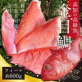 KYF109　数量限定　海鮮金目鯛のフィーレ600g＜高知市共通返礼品＞