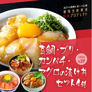 KYF118　緊急支援 海鮮 真鯛・ブリ・カンパチ・マグロの漬け丼セット4種×2P《迷子の真鯛を食べて応援 養殖生産業者応援プロジェクト》応援 惣菜 そうざい 冷凍 保存食 小分け パック 高知 海鮮丼 一人暮らし〈高知市共通返礼品〉