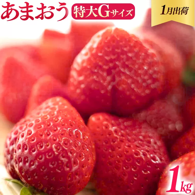 福岡県産 あまおう 1000g （250g×4パック） いちご 1月中発送 いちご 苺 フルーツ 果物 くだもの 大粒Gサイズ グランデ 農家直送 大粒 不揃い 福岡県 福岡 九州 グルメ お取り寄せ