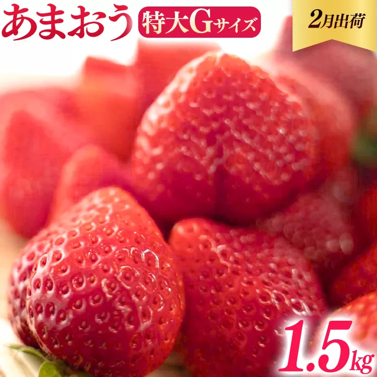 福岡県産 あまおう 1500g （250g×6パック） いちご 2月中発送 いちご 苺 フルーツ 果物 くだもの 大粒Gサイズ グランデ 農家直送 大粒 不揃い 福岡県 福岡 九州 グルメ お取り寄せ