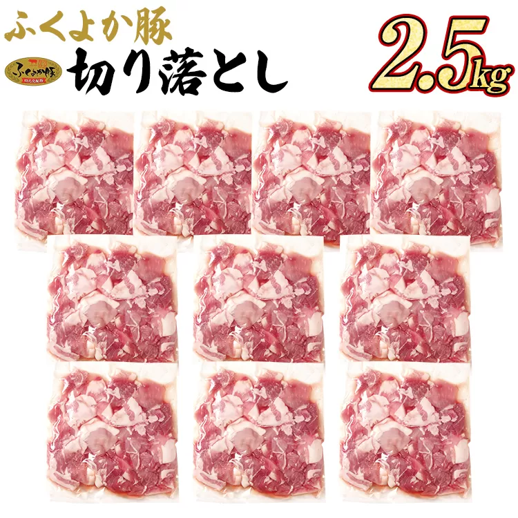 豚肉 ふくよか豚 切り落とし 2.5kg（250g×10パック） モモ ウデ モモ肉 ウデ肉 小分け 真空パック ブタ肉 ぶた肉 生姜焼き 焼きそば 豚汁 冷凍 福岡県 福岡 九州 グルメ お取り寄せ