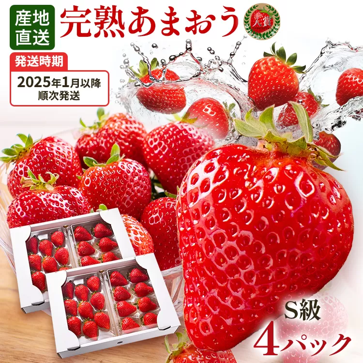 あまおう 8～9粒入り×4パック （先行受付／2025年1月以降順次発送予定）いちご 大粒 不揃い DX デラックス エクセレント 苺 イチゴ 福岡高級 フルーツ 土産 福岡県