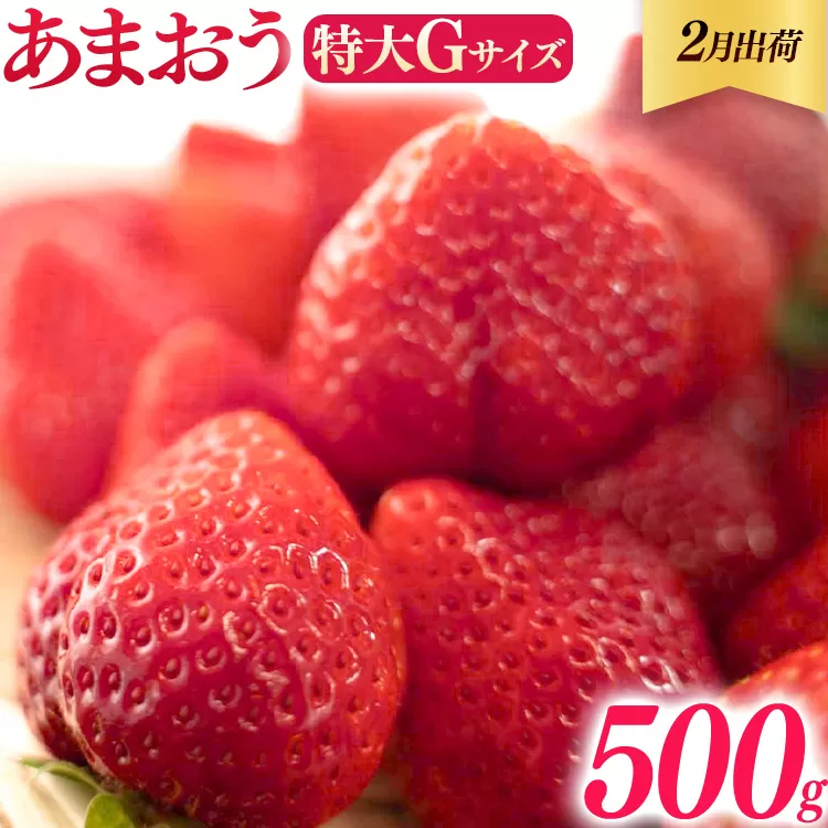 福岡県産 あまおう 500g （250g×2パック） いちご 2月中発送 いちご 苺 フルーツ 果物 くだもの 大粒Gサイズ グランデ 農家直送 大粒 不揃い 福岡県 福岡 九州 グルメ お取り寄せ