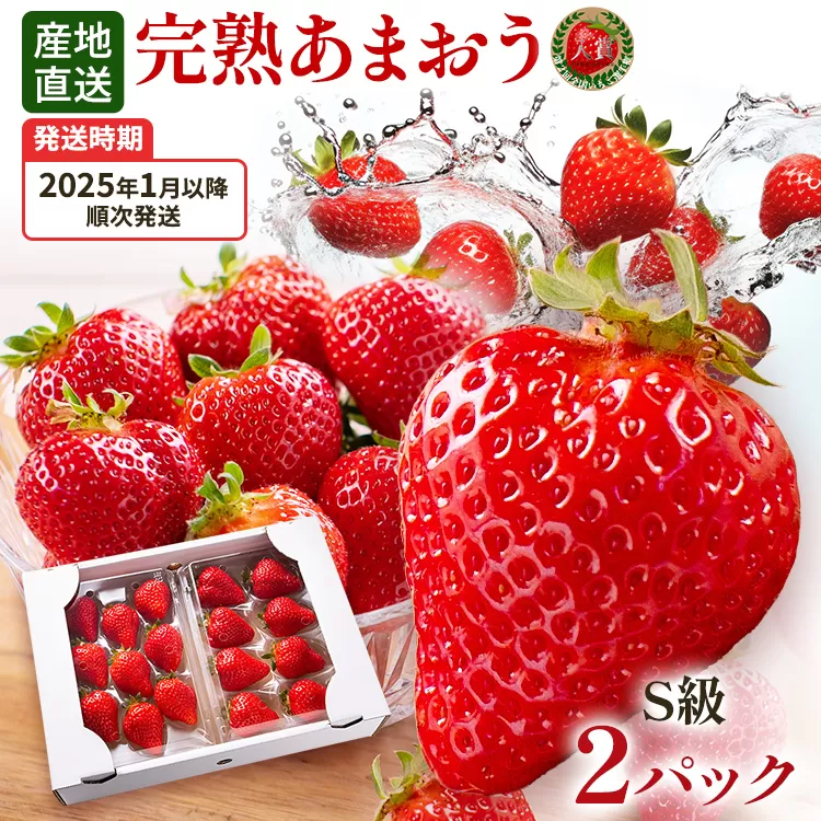 あまおう 8～9粒入り×2パック （先行受付／2025年1月以降順次発送予定）いちご 大粒 不揃い DX デラックス エクセレント 苺 イチゴ 福岡高級 フルーツ 土産 福岡県