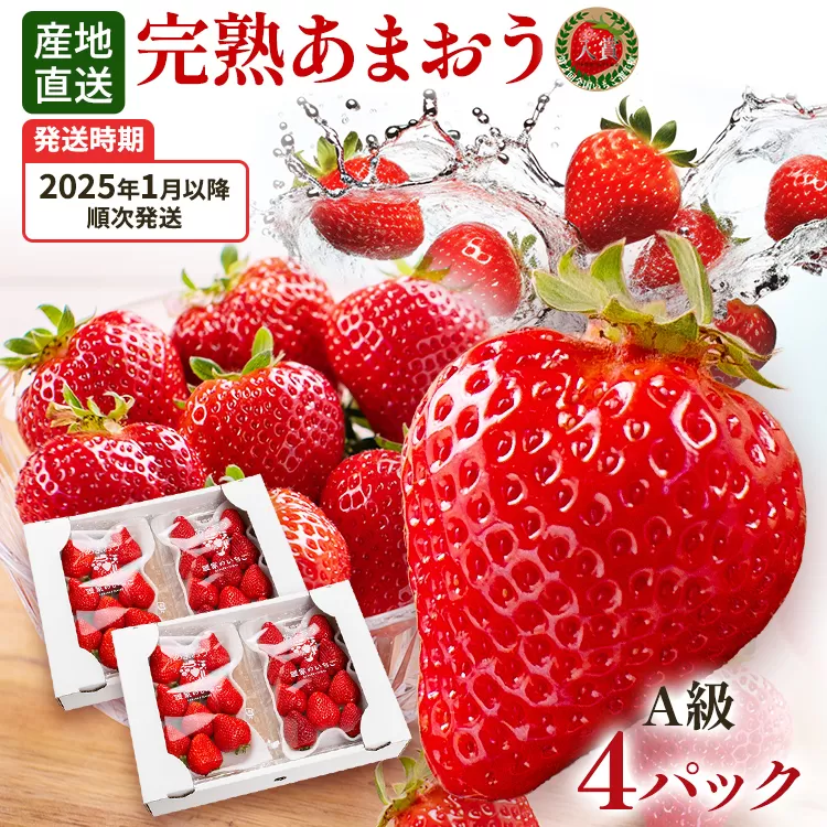 あまおう 約1,100g（約275g×4パック）（先行受付／2025年1月以降順次発送予定）いちご 大粒 不揃い 苺 イチゴ 福岡高級 フルーツ 土産 福岡県