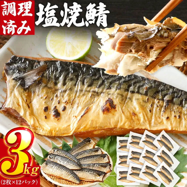 さば 塩サバ 塩焼鯖 2枚×12P（約3kg） 大ぶり 調理済 レンチン 温めるだけ 脂のり 惣菜 晩御飯 おかず ジューシー 冷凍 お弁当 レンジ調理 サバ 自社製造 朝ごはん 和食 簡単調理 アレンジ 塩焼き