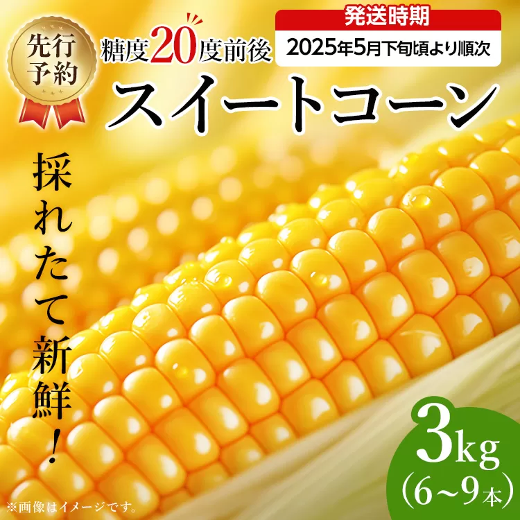 とうもろこし スイートコーン 3kg（6~9本）野菜 コーン スーパースイートコーン 採れたて 糖度20度 【2025年5月下旬頃より順次発送予定】