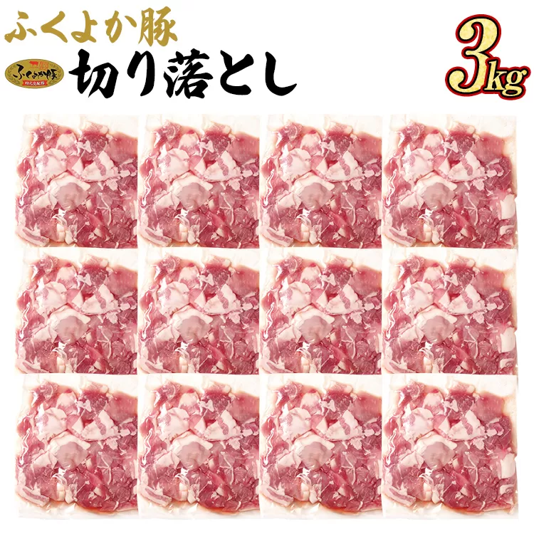 豚肉 ふくよか豚 切り落とし 3.0kg（250g×12パック） モモ ウデ モモ肉 ウデ肉 小分け 真空パック ブタ肉 ぶた肉 生姜焼き 焼きそば 豚汁 冷凍 福岡県 福岡 九州 グルメ お取り寄せ