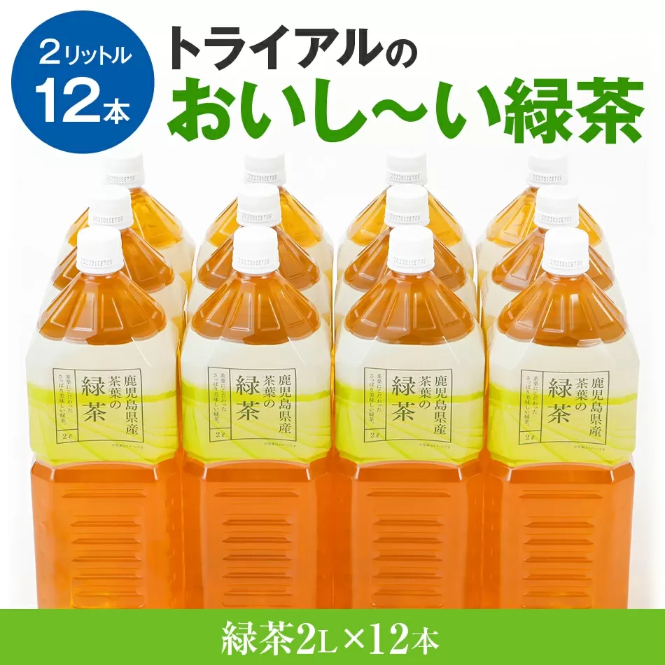 お茶　トライアルのおいし〜い緑茶（2L×12本）お茶　緑茶　2L　ペットボトル