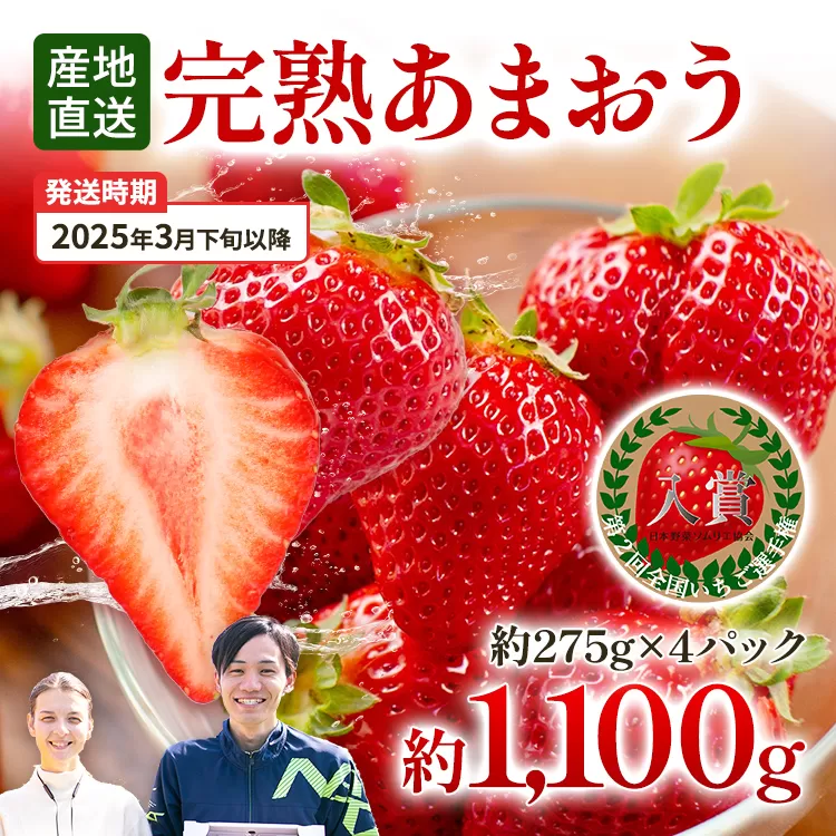 あまおう 約1100g（約275g×4パック） （先行受付／2025年3月下旬以降順次発送予定）いちご 苺 福岡高級 フルーツ お取り寄せ ご当地グルメ 福岡土産 取り寄せ グルメ 福岡県 食品 社会福祉法人 猪位金福祉会