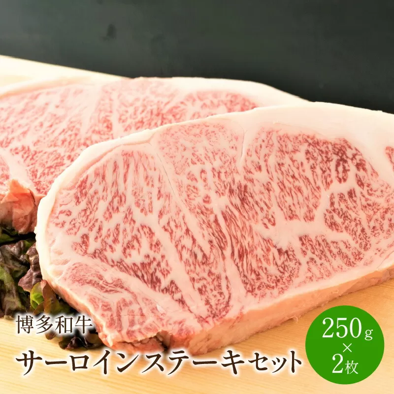 博多和牛サーロインステーキセット　500g[250g×2枚]【014-0006】