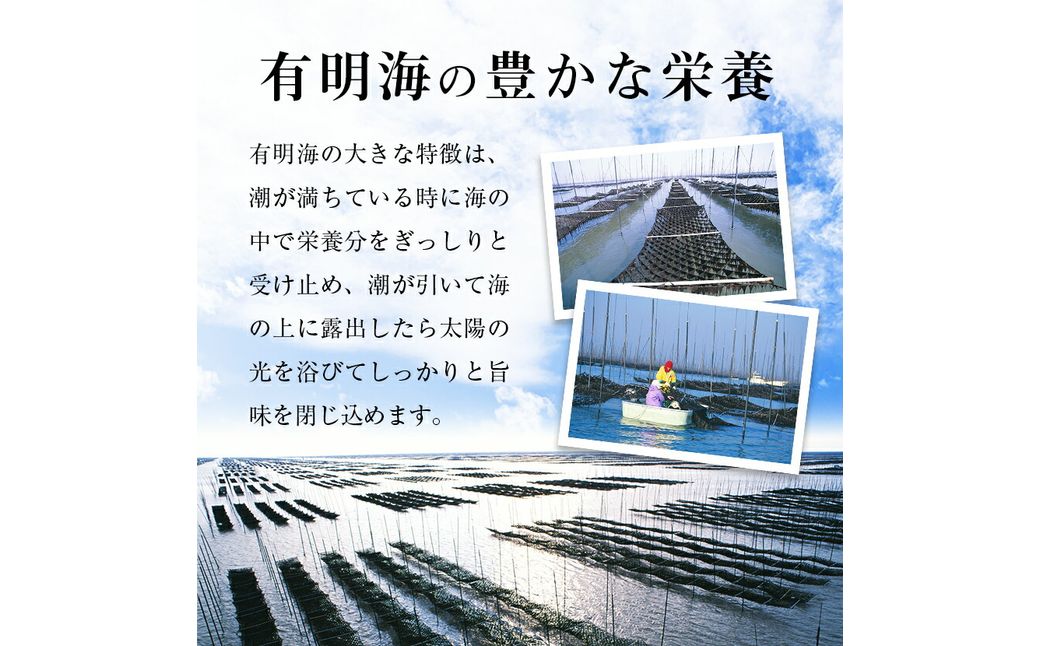 福岡有明のり]有明海苔 味海苔 大丸ボトル 8切80枚 8本セット【015