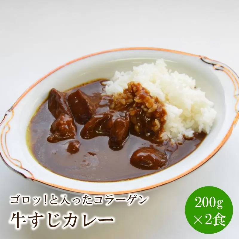 ゴロッ!と入ったコラーゲン牛すじカレー2食【001-0312】