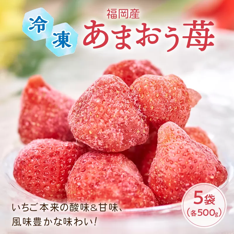 いちご本来の酸味&甘味、風味豊かな味わい!福岡産あまおう苺(冷凍)500g×5袋【011-0040】