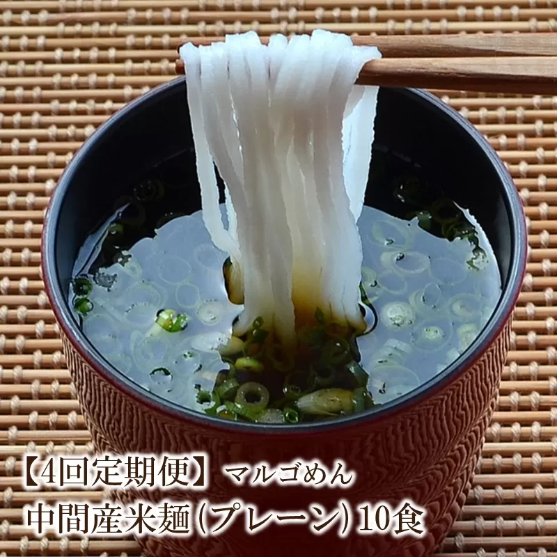 【4回定期便】マルゴめん中間産米麺(プレーン)10食【001-0156】