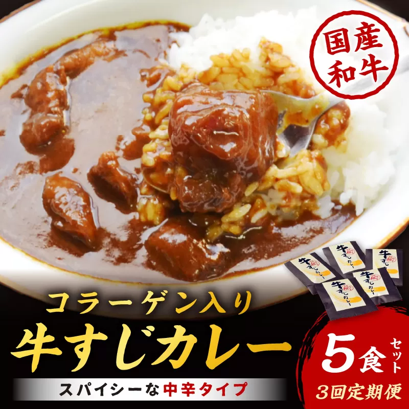 【3回定期便】ゴロッ!と入ったコラーゲン博多和牛　牛すじカレー5食セット【001-0207】