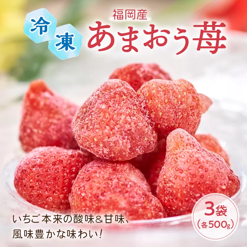 いちご本来の酸味&甘味、風味豊かな味わい!福岡産あまおう苺(冷凍)500g×3袋【011-0039】