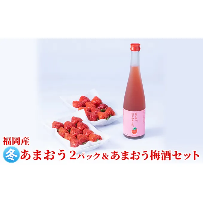 いちご あまおう 2パック 冬＆あまおう梅酒 あまおうはじめました。 500ml×1本セット 配送不可 離島