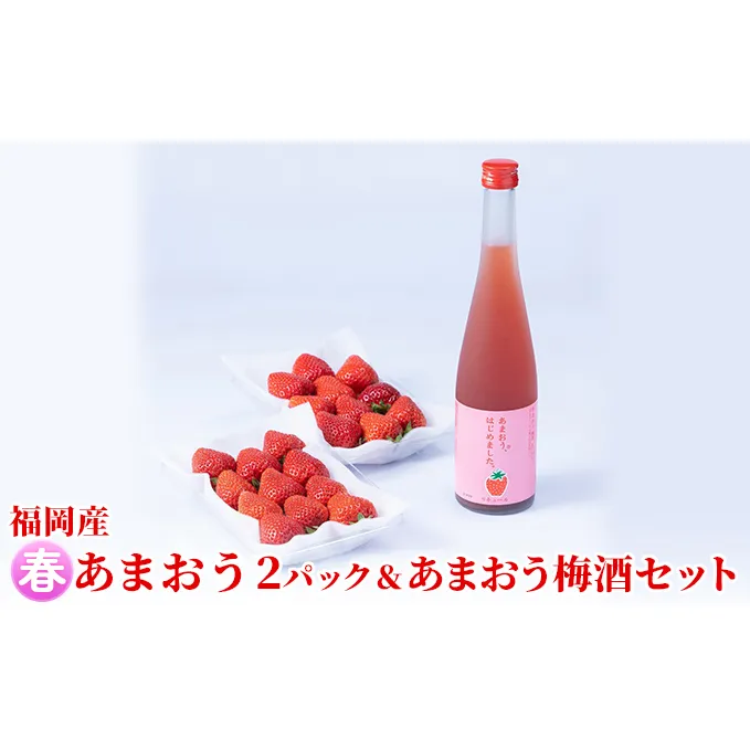 いちご あまおう 2パック 春 ＆あまおう梅酒 あまおうはじめました。 500ml×1本セット 配送不可 離島