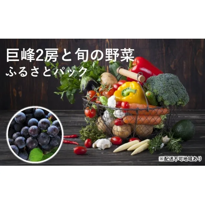 巨峰2房と旬の野菜のふるさとパック【配送不可：離島】