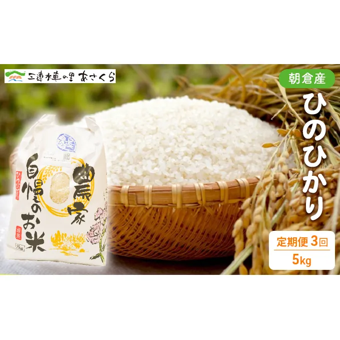 米 令和6年度 ひのひかり 5kg×3回お届け