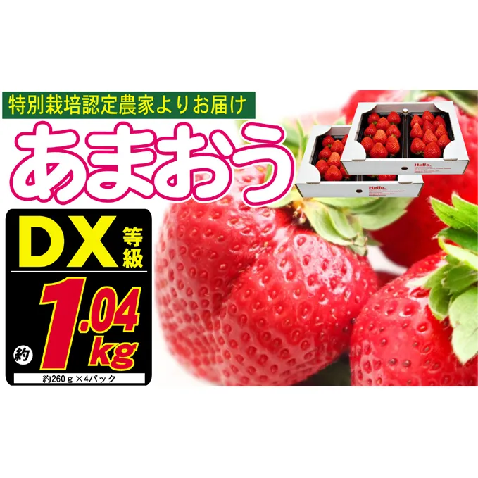 あまおう DX等級のみ 約1.04kg 約260g×4パック ※配送不可：北海道・東北・沖縄・離島