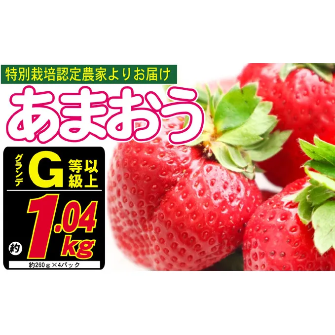 あまおう G以上 約1.04kg 約260g×4パック ※配送不可：北海道・東北・沖縄・離島