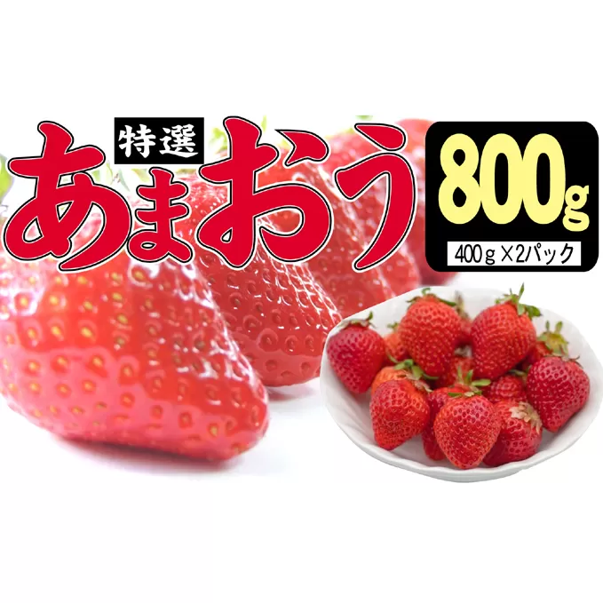 いちご 2024年12月より発送 特選あまおう 800g※配送不可：離島