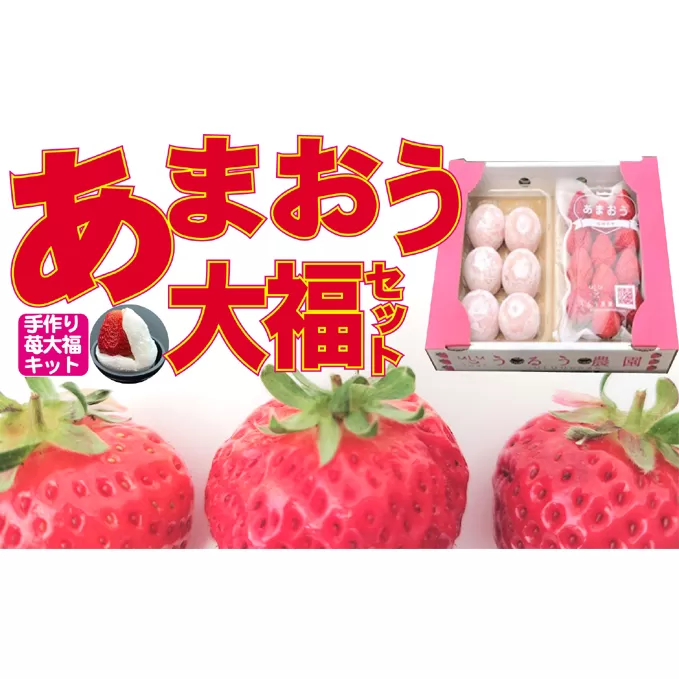 いちご 2024年12月より発送 うるう農園のあまおう大福キット（あまおう1パック＋大福6個セット）※配送不可：離島