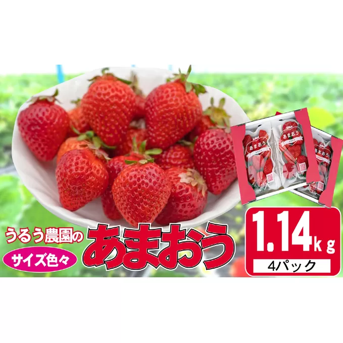 いちご 2024年12月より発送 うるう農園のあまおう サイズ色々4パック 約1.14kg※配送不可：離島