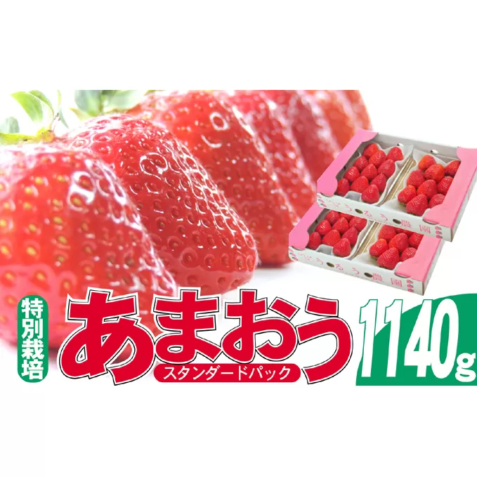 いちご 2024年12月より発送 うるう農園のあまおう スタンダード4パック 約1.14kg※配送不可：離島