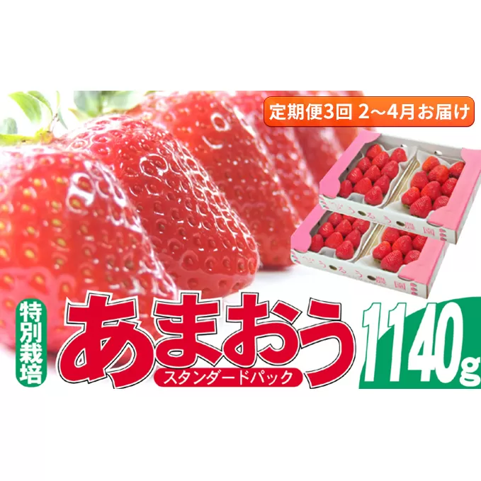 定期便 3回 いちご 発送時期 2025年2月～4月 うるう農園のあまおう スタンダード4パック 約1.14kg 配送不可 離島