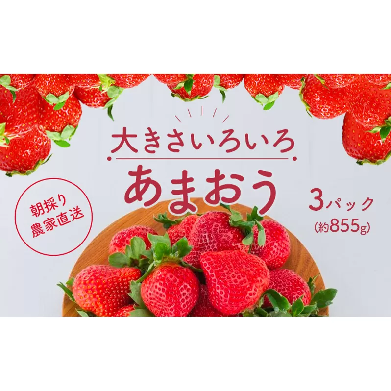 いちご あまおう サイズ いろいろ 3パック（約855g）朝倉限定 イチゴ 苺 果物 フルーツ 配送不可：離島