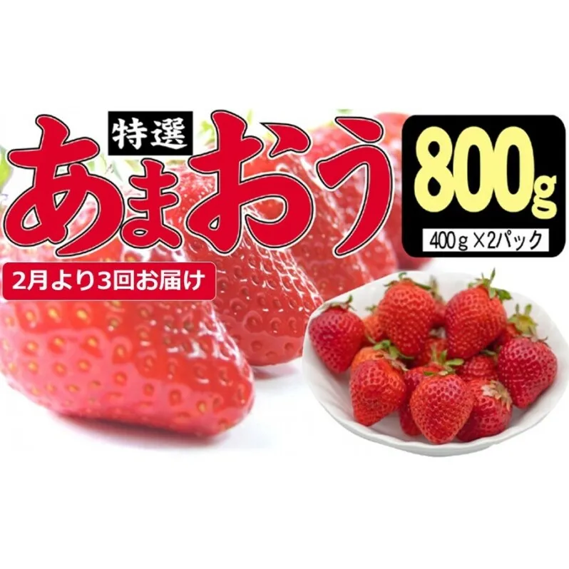 定期便 3ヶ月 いちご あまおう 800g 特選 あまおう 2025年2月より発送 イチゴ 苺 フルーツ 果物 デザート 3回 お楽しみ ※配送不可：離島