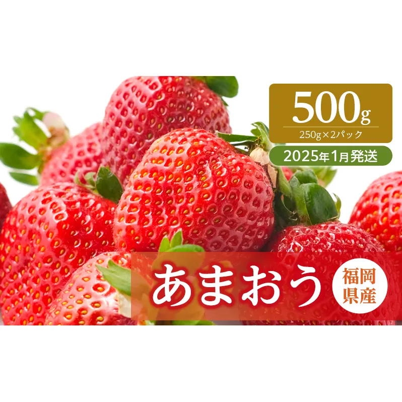 いちご 福岡県産 あまおう 500g (250g×2パック) 先行予約 2025年1月より順次発送 果物 デザート ※配送不可：離島