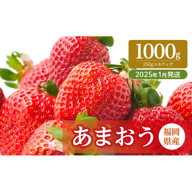 いちご 福岡県産 あまおう 1000g (250g×4パック) 先行予約 2025年1月より順次発送 果物 デザート ※配送不可：離島