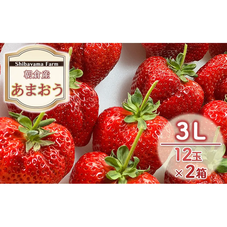 いちご 朝倉市産 あまおう 3L 12玉×2箱 イチゴ 苺 果物 デザート ＜Shibayama Farm＞ ※配送不可：離島